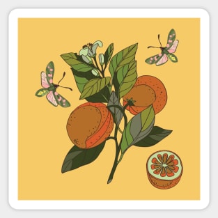 Botanical illustration of plants orange and butterflies Sticker